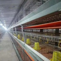 养殖场传粪带 pp清粪带 肉鸡输粪带零吸水耐腐蚀寿命长