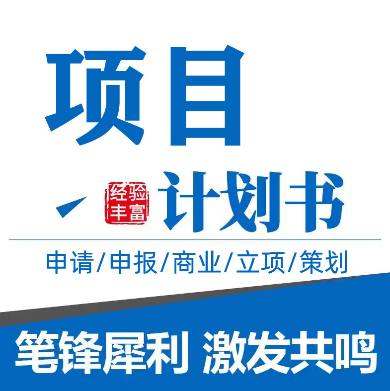 项目计划书代写