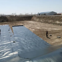 防渗膜厂家直销 hdpe防渗膜土工膜水泥毯聚乙烯土工膜