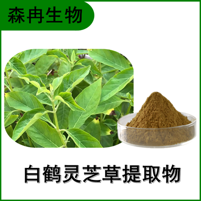 森冉生物 白鹤灵芝草提取物 大叶灵