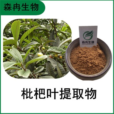 森冉生物 枇杷叶提取物 卢橘叶提取