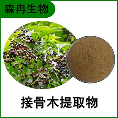森冉生物 接骨木提取物 接骨木花青