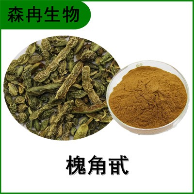森冉生物 槐角提取物 槐实提取物 比