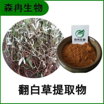 森冉生物 翻白草提取物 鸡脚草提取