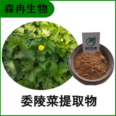 森冉生物 委陵菜提取物 鸡爪草提取