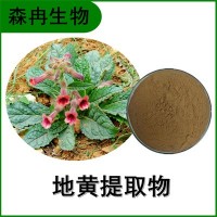 森冉生物 地黄提取物 鲜地黄提取物 比例提取原料粉
