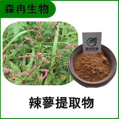 森冉生物 辣蓼提取物 辣蓼草提取物 