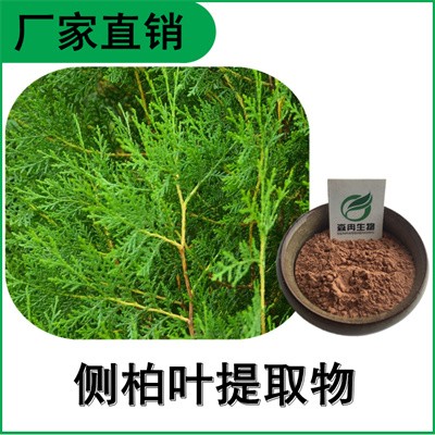 森冉生物 侧柏叶提取物 扁柏叶提取