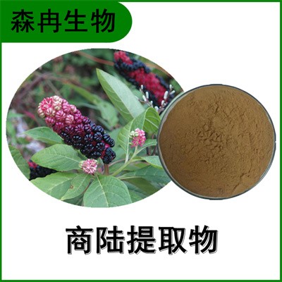森冉生物 商陆提取物 见肿消提取物 