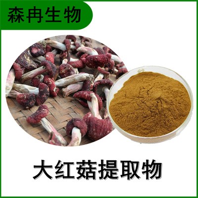 森冉生物 大红菇提取物 大红菇多糖 