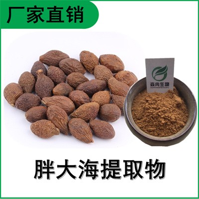 森冉生物 胖大海提取物 大洞果提取