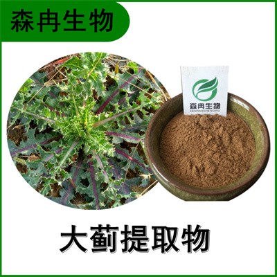 森冉生物 大蓟提取物 大刺儿菜提取