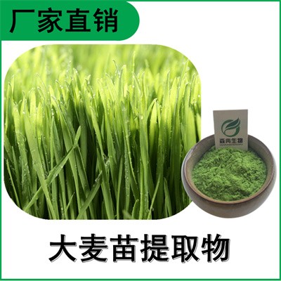 森冉生物 大麦苗提取物 大麦苗粉 植物提取原料粉