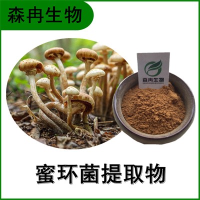 森冉生物 蜜环菌提取物 蜜环菌多糖 