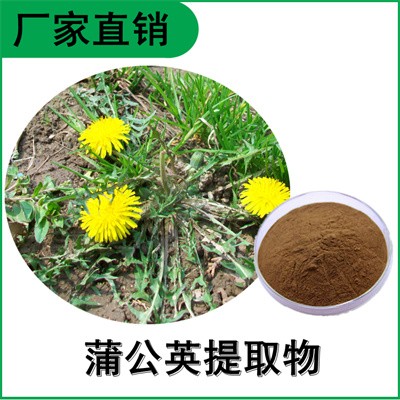 森冉生物 蒲公英提取物 黄花地丁提