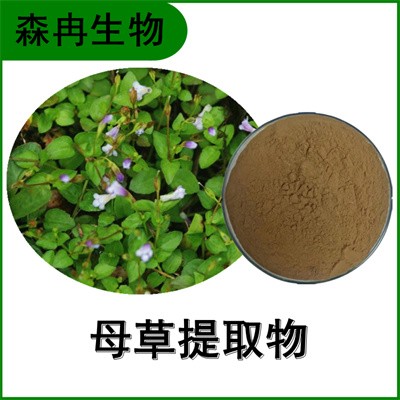 森冉生物 母草提取物 四方拳草提取