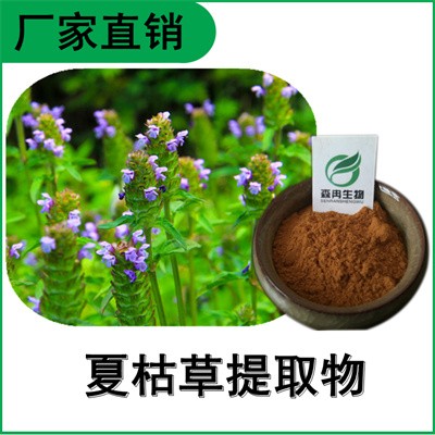 森冉生物 夏枯草提取物 夏枯草浓缩