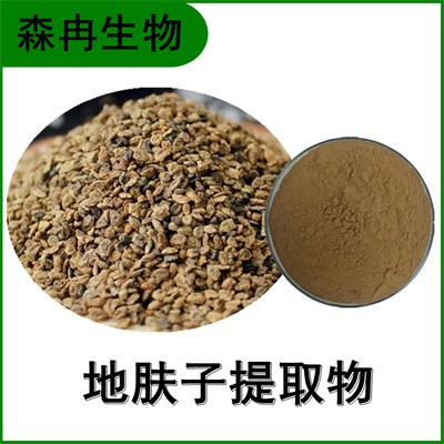 森冉生物 地肤子提取物 扫帚菜提取