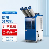 三管防爆冷气机ZELF-260FB/LQ65